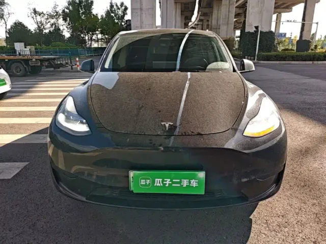 Tesla Model Y — Фото автомобиля 2