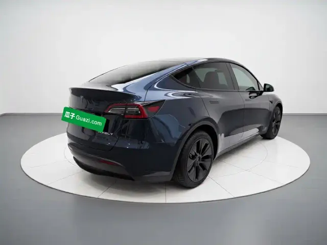Tesla Model Y — Фото автомобиля 6