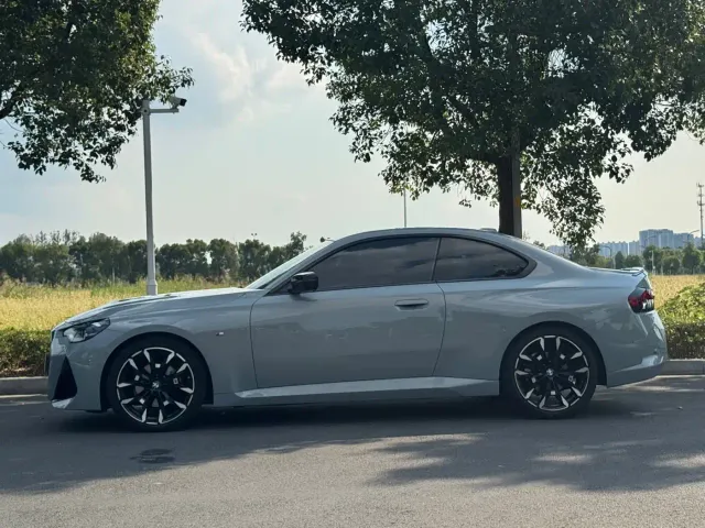 BMW 2 Series — Фото автомобиля 6