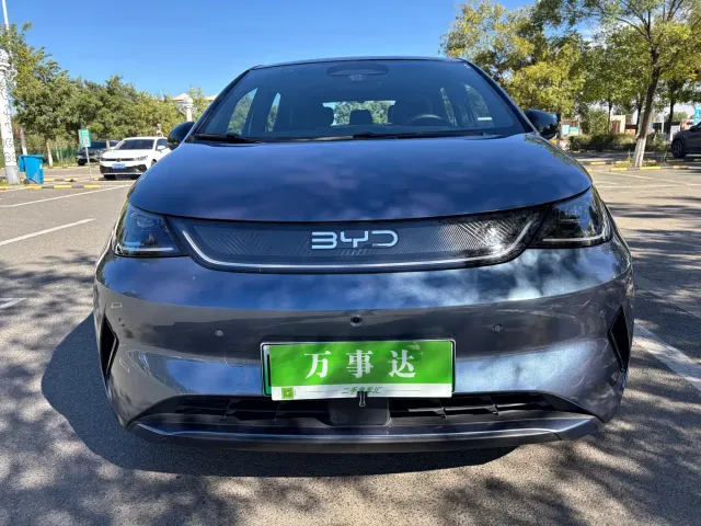 BYD Dolphin — Фото автомобиля 20