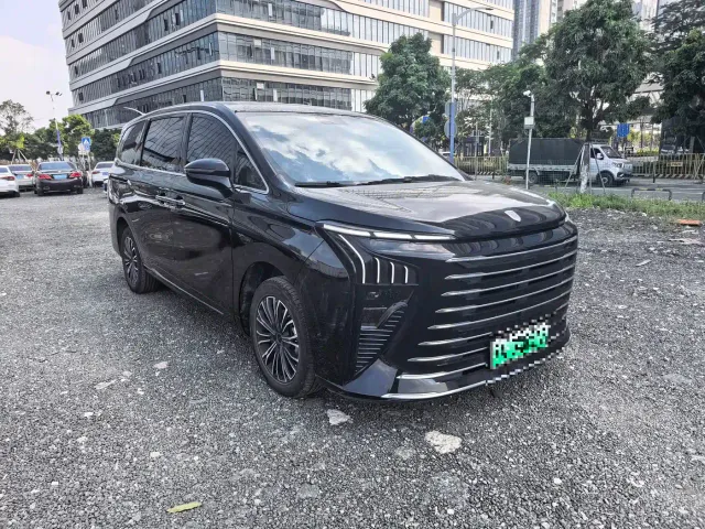 Forthing Xinghai V9 — Фото автомобиля 3