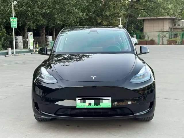 Tesla Model Y — Фото автомобиля 2