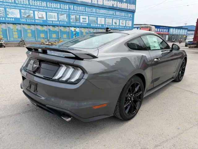 Ford Mustang — Фото автомобиля 5