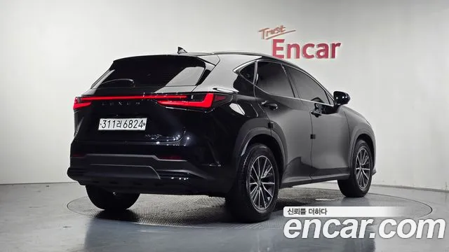 Lexus NX — Фото автомобиля 2