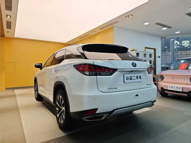 Lexus RX — Фото автомобиля 29