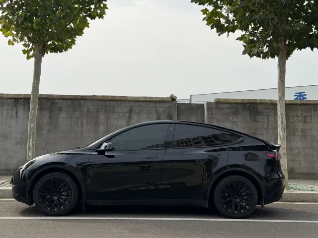 Tesla Model Y — Фото автомобиля 2