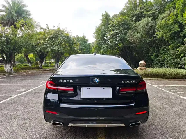 BMW 5 Series — Фото автомобиля 8