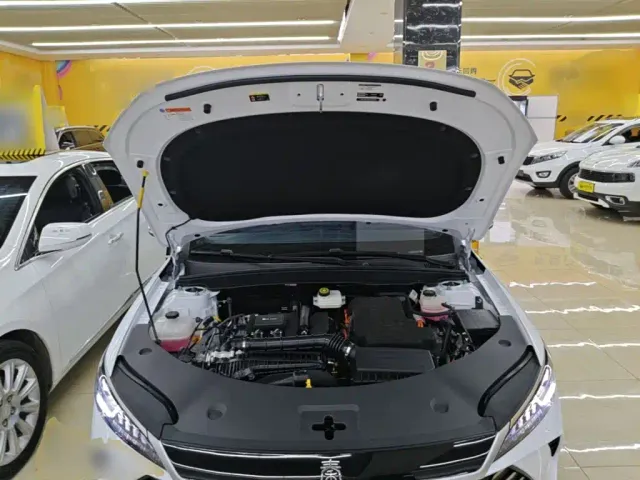 BYD Qin PLUS — Фото автомобиля 19