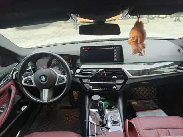 BMW 5 Series — Фото автомобиля 12