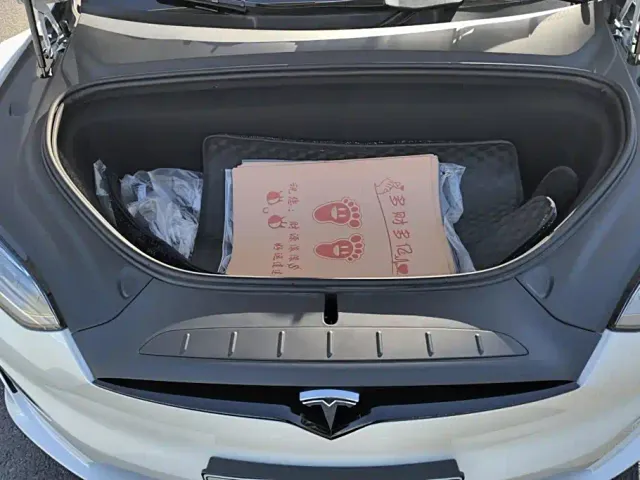 Tesla Model X — Фото автомобиля 10