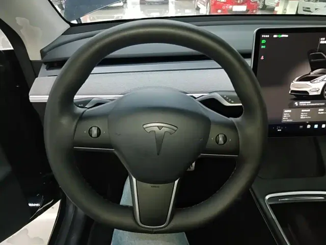 Tesla Model Y — Фото автомобиля 10