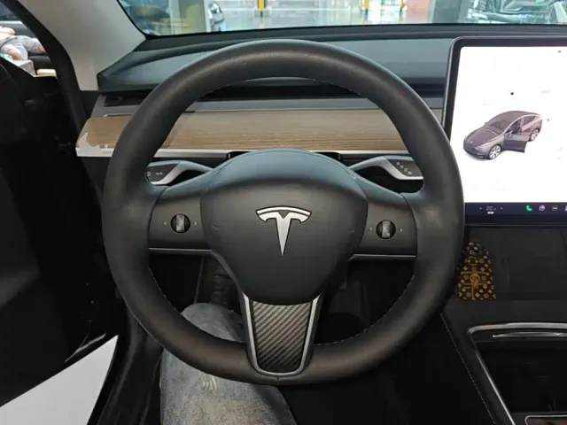 Tesla Model Y — Фото автомобиля 10