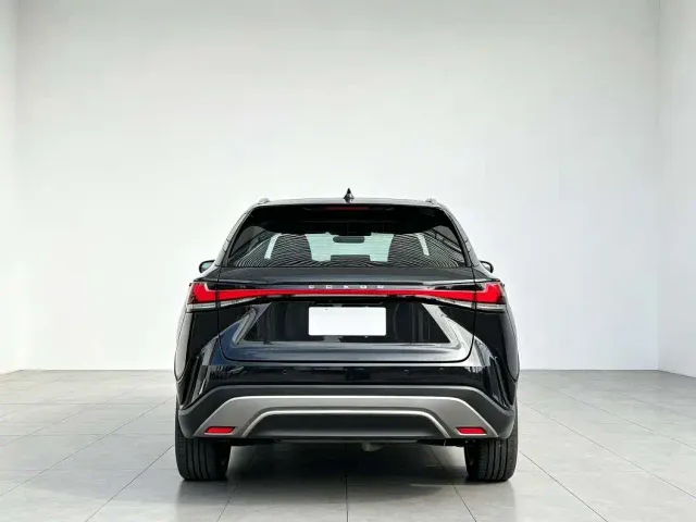 Lexus RX — Фото автомобиля 9