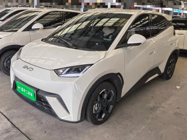 Фотография автомобиля — BYD Seagull