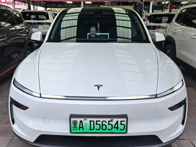 Tesla Model Y — Фото автомобиля 2