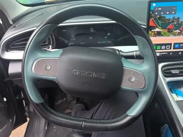 Geely Starry Wish — Фото автомобиля 15