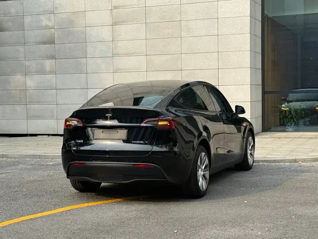 Tesla Model Y — Фото автомобиля 19