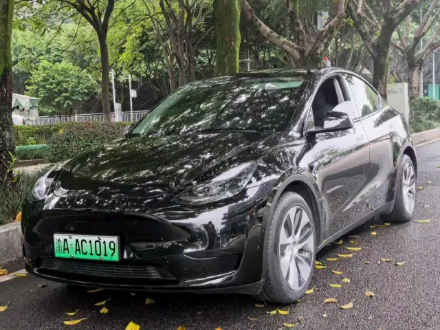 Tesla Model Y — Фото автомобиля 2