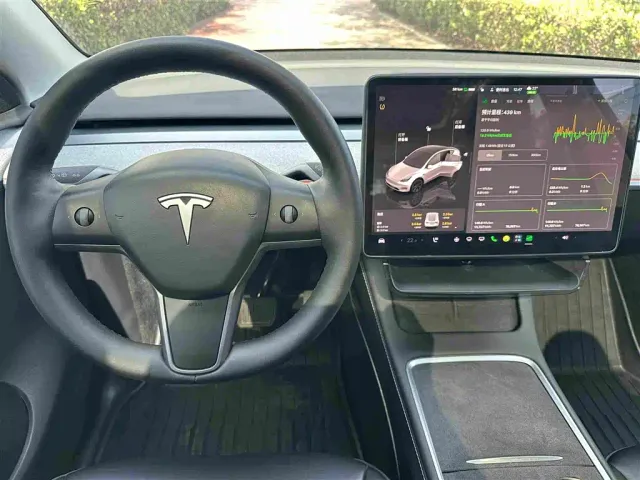 Tesla Model Y — Фото автомобиля 7
