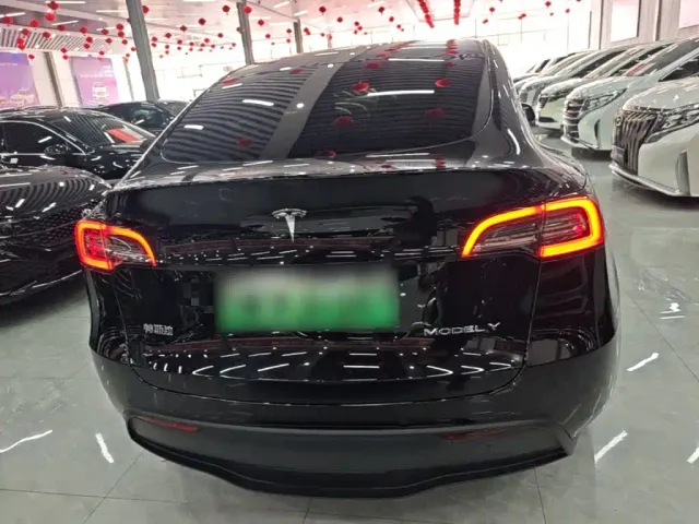 Tesla Model Y — Фото автомобиля 3