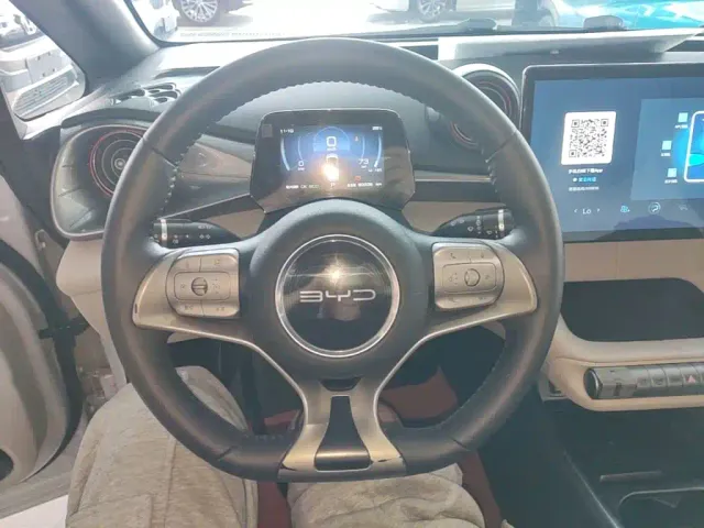 BYD Dolphin — Фото автомобиля 10