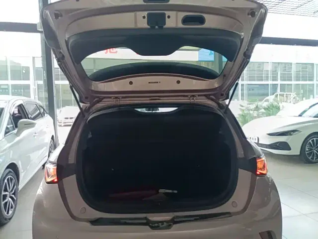 BYD Dolphin — Фото автомобиля 18
