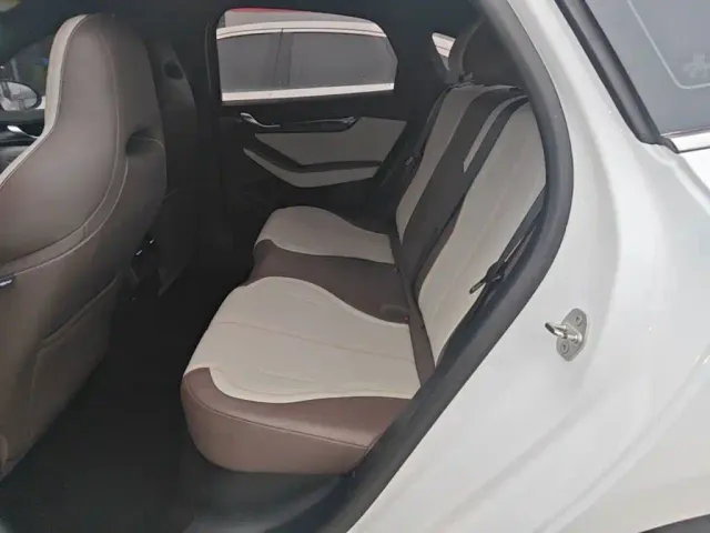 BYD Qin PLUS — Фото автомобиля 16