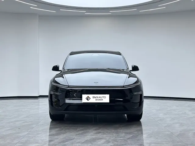 Tesla Model Y L — Фото автомобиля 5