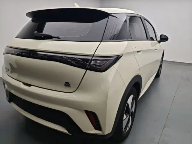 BYD Dolphin — Фото автомобиля 6