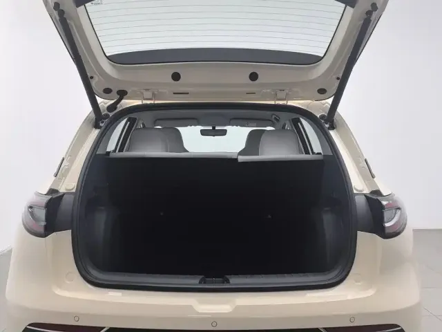 Geely Starry Wish — Фото автомобиля 16