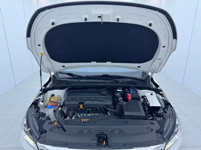 Geely Emgrand — Фото автомобиля 15