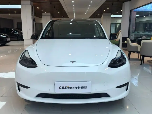 Tesla Model Y — Фото автомобиля 2