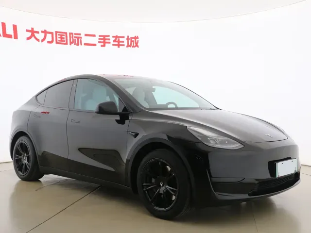 Tesla Model Y — Фото автомобиля 3