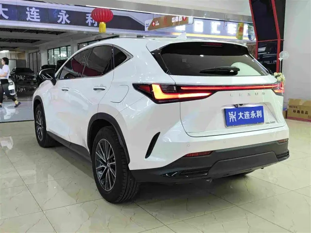 Lexus NX — Фото автомобиля 14