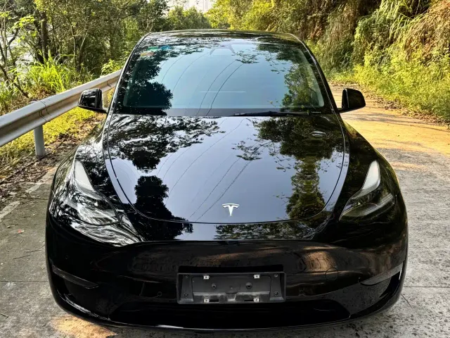 Tesla Model Y — Фото автомобиля 2