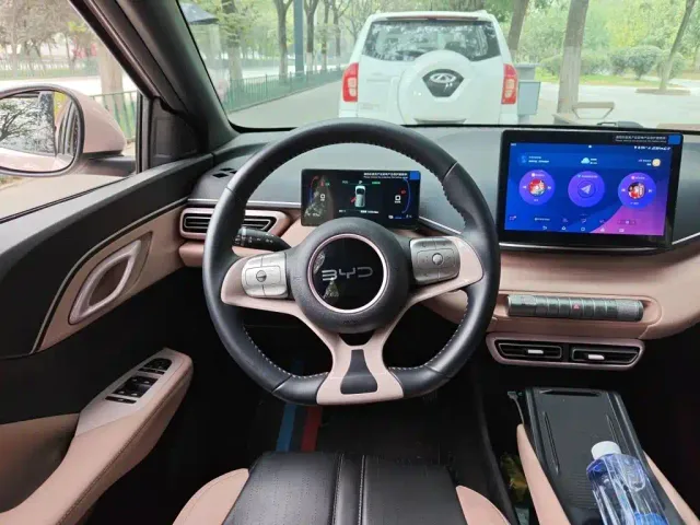 BYD Seagull — Фото автомобиля 6