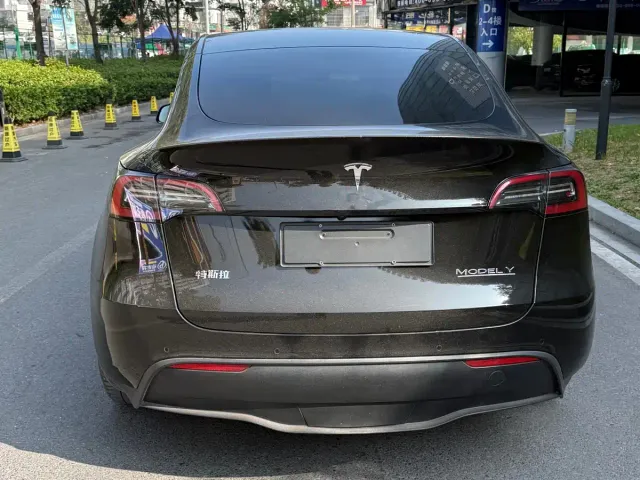 Tesla Model Y — Фото автомобиля 10