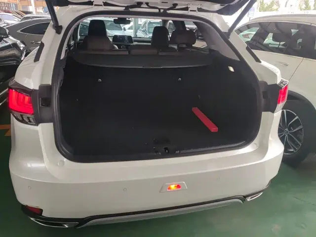 Lexus RX — Фото автомобиля 18
