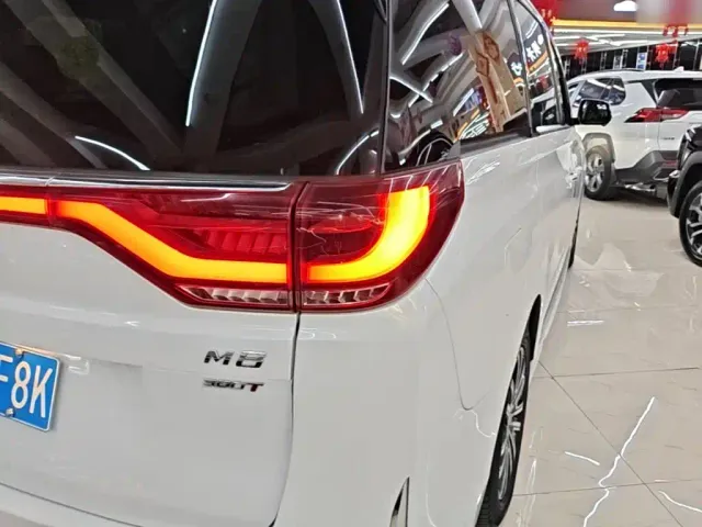 GAC Trumpchi M8 — Фото автомобиля 7