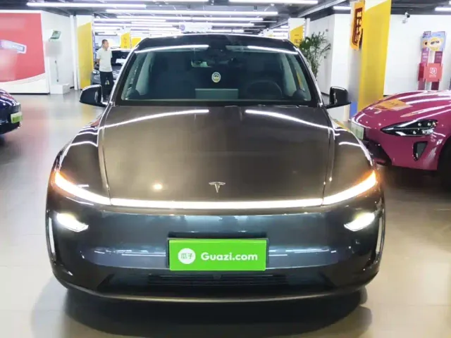 Tesla Model Y — Фото автомобиля 2
