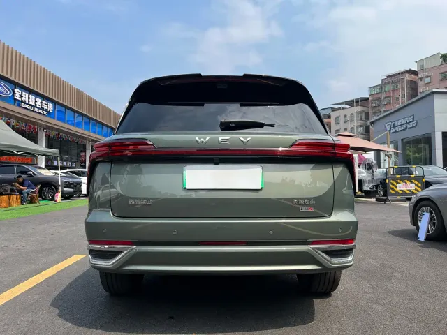 Wey Lanshan — Фото автомобиля 5