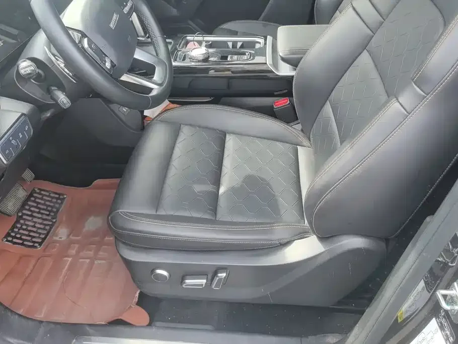 Haval Haval Big Dog 2021 1.5T DCT 2WD Border Collie Edition — Фото автомобиля 9