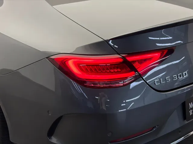Mercedes-Benz CLS-Class — Фото автомобиля 19