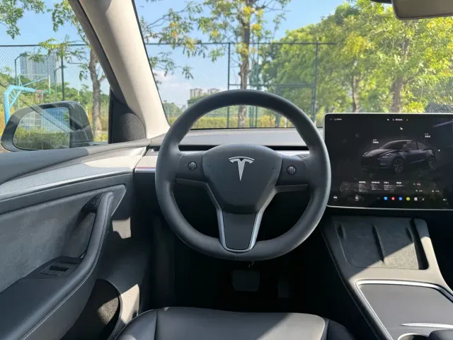 Tesla Model Y — Фото автомобиля 5