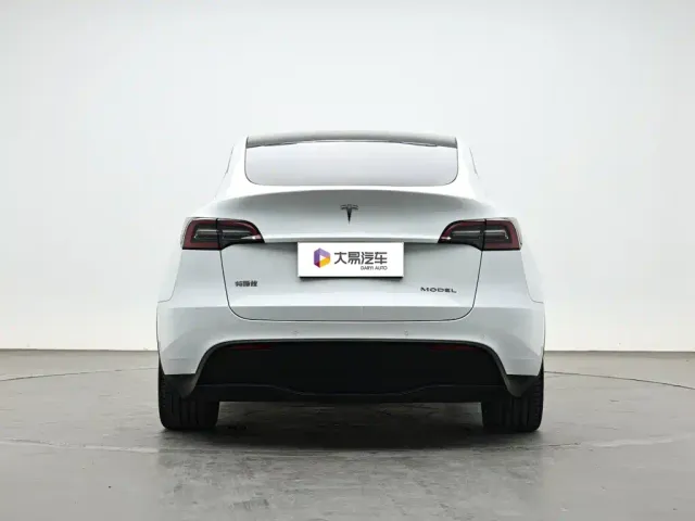 Tesla Model Y — Фото автомобиля 4