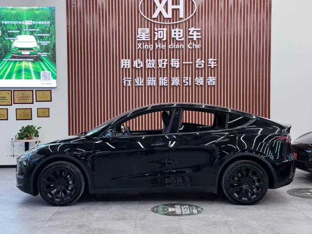 Tesla Model Y — Фото автомобиля 4