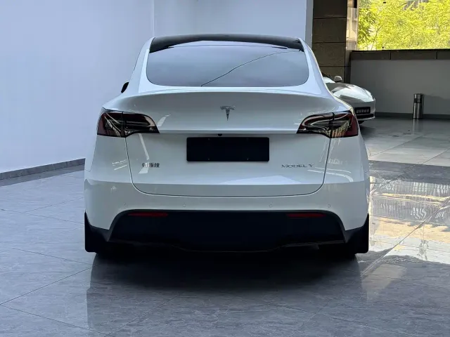 Tesla Model Y — Фото автомобиля 14