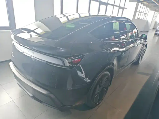 Tesla Model Y — Фото автомобиля 6