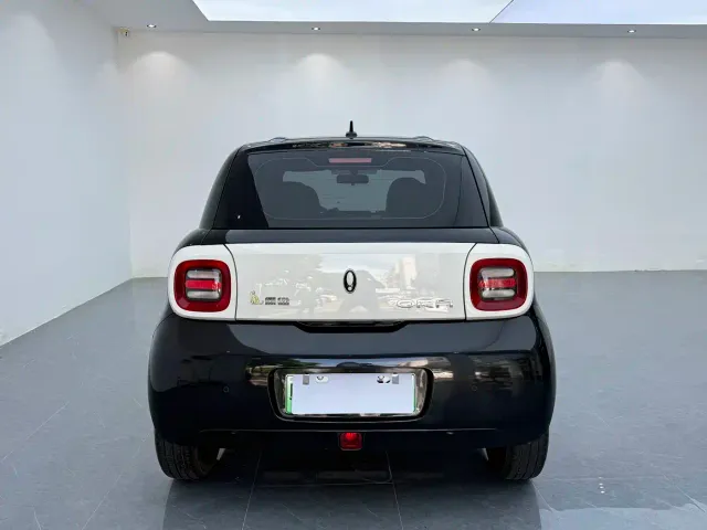 Ora Black Cat — Фото автомобиля 11