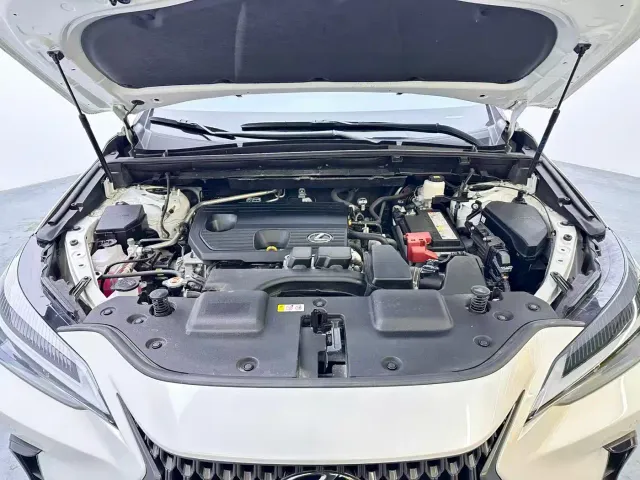 Lexus NX — Фото автомобиля 11